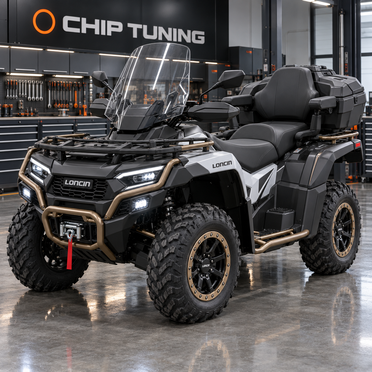 Loncin XWolf 1000 Land Tracker 0.976 Bosch ME17.8.10 F01R00DS9C GC0203A300