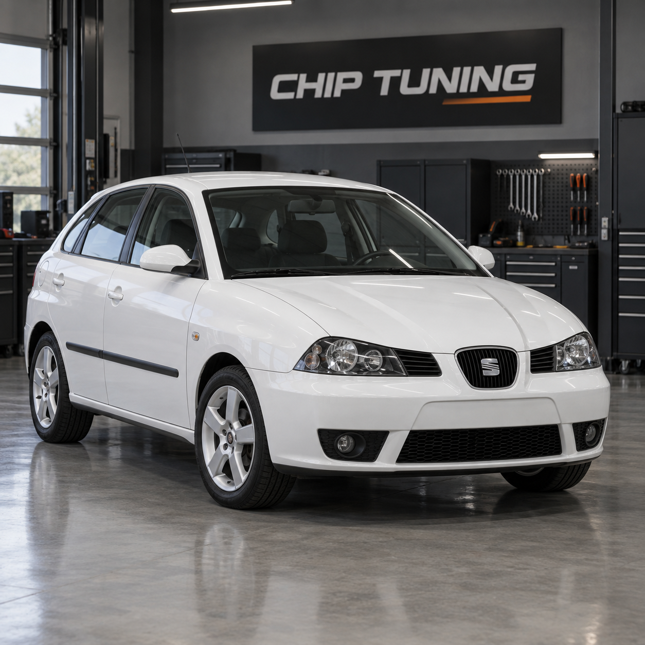 Seat Ibiza 1.4 Magneti Marelli 4HV 03C906024AF_2212