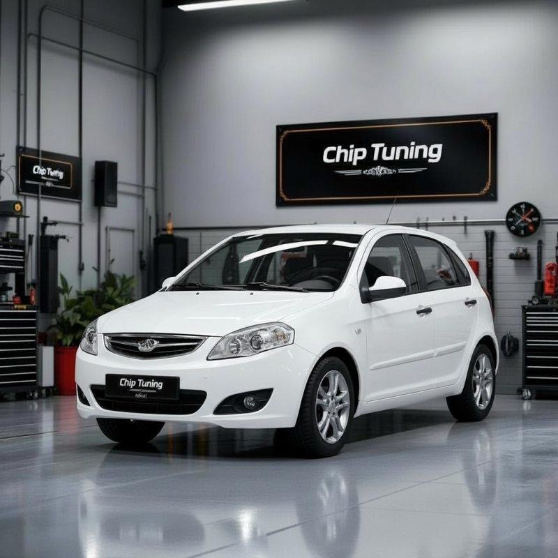 Chery M11 1.6 ME7.8.8 F01R00DE83 F01R0ADB16 TUN E2