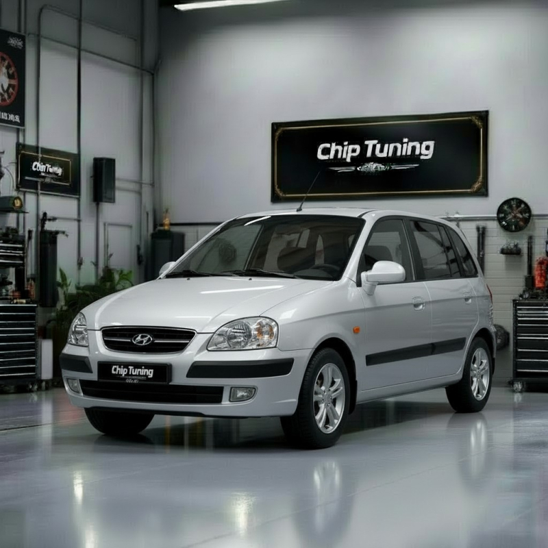 Hyundai Matrix 1.6 ME7.9.7 MT-FCE6N62 Pcmflash ETC1 E2 EVAP off