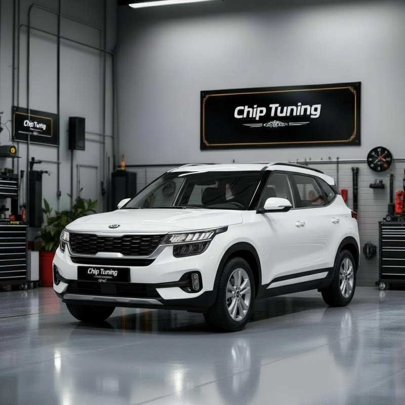 Kia Seltos 2.0i sim2k 259 SPA5R2AF6D7A_616D7010_616D7051 Combiloader TUN E2.