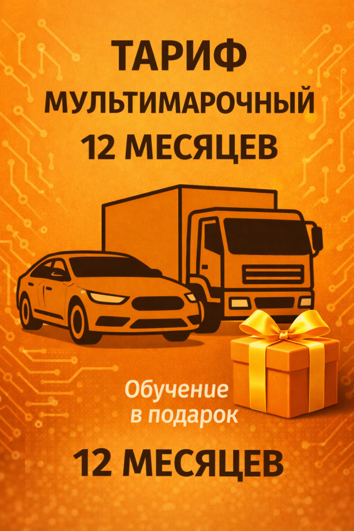 Тариф Мультимарочный 12 месяцев.