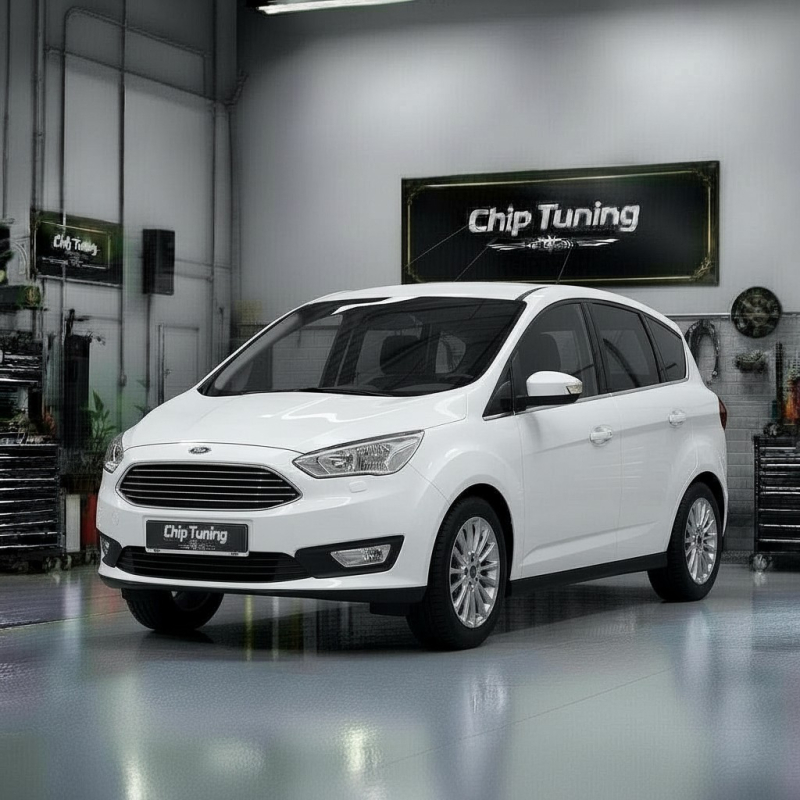 Ford C-Max 2.0 sid206 10132175AA 7G91-12k532-RG DPF EGR off