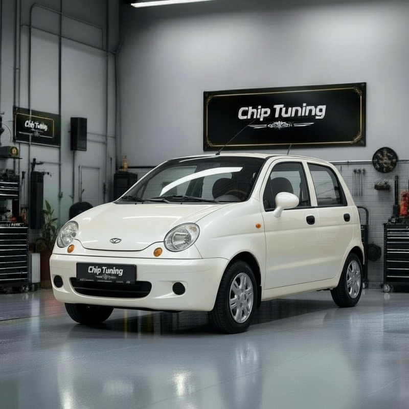 Daewoo Matiz 0.8 sirius D42 1CCR Tun e2 Egr OFF