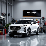 Great Wall Hover 2.0 AT DCM.3.7 UQA08B03  TUN EGR OFF