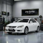 Toyota Mark X 2.5 Denso 89663-22262 Pcmflash ETC1 E2 Flaps off