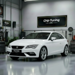 Seat Leon 1.4i med17.5.25 04E906027HC_3061 Pcmflash ETC e2 Evap EGR off