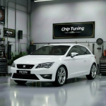 Seat Leon 1.4i med17.5.5 03C906016FL_4630 1037528890 Рcmflash ETC e2