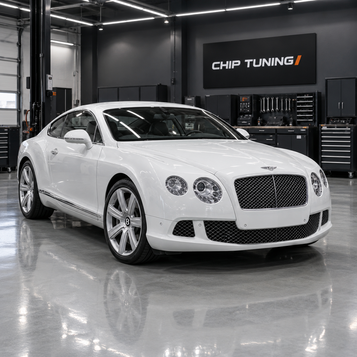 Bentley Continental GT 6.0 Bosch ME7.1.1 1037372889 07C906018AR_6521