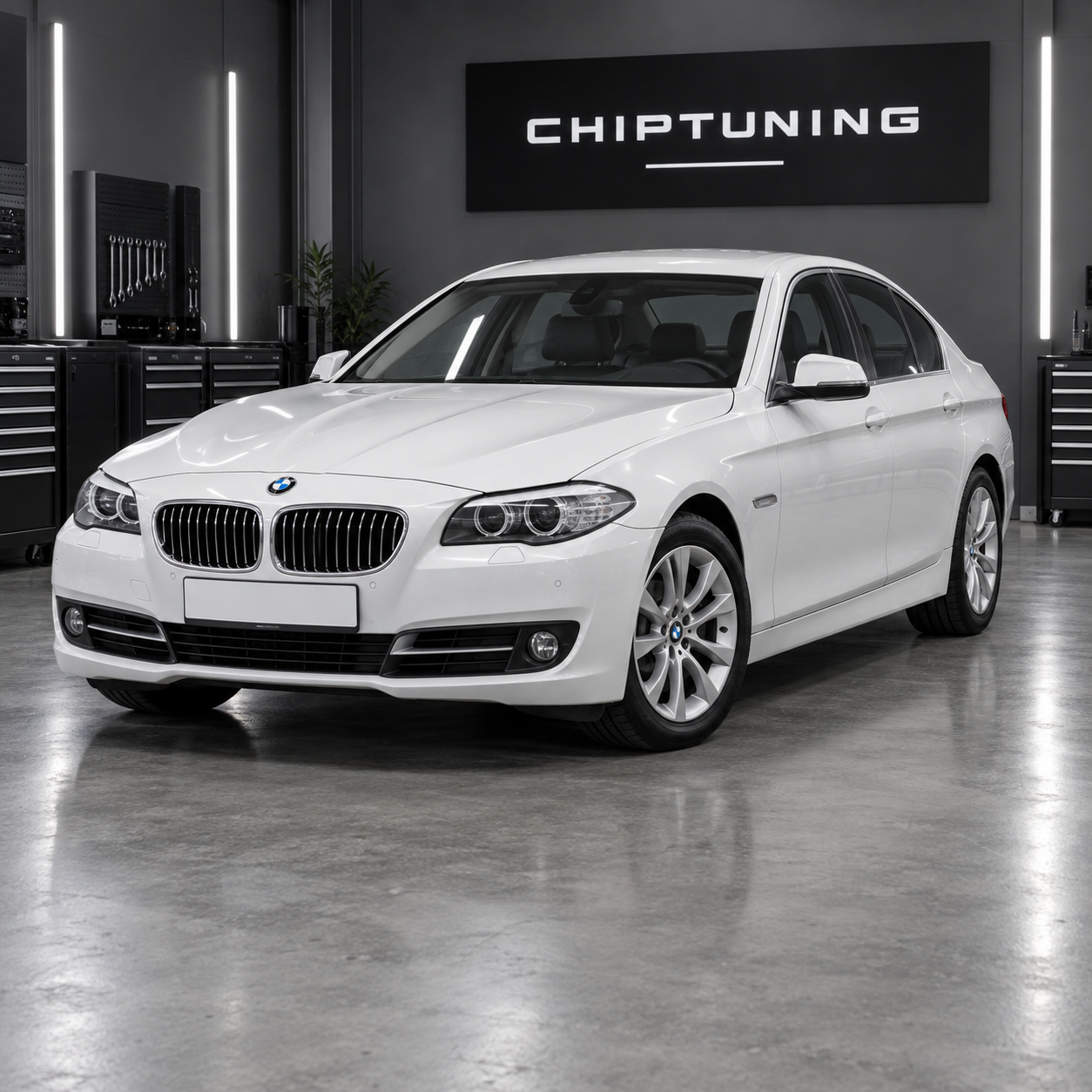 BMW 5 Series (F10) 3.0 Bosch EDC17C50/C56 O_7FTN0-0000240B-001 N57D30O1-F10N57O1_4W5A_L#F010-17-07-425-FS