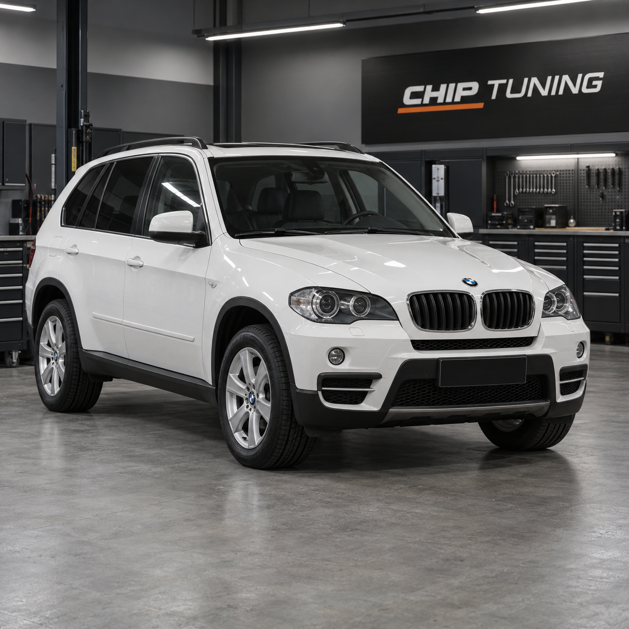 BMW X5 (E70) 3.0 Siemens MSV80 07602220_07603150