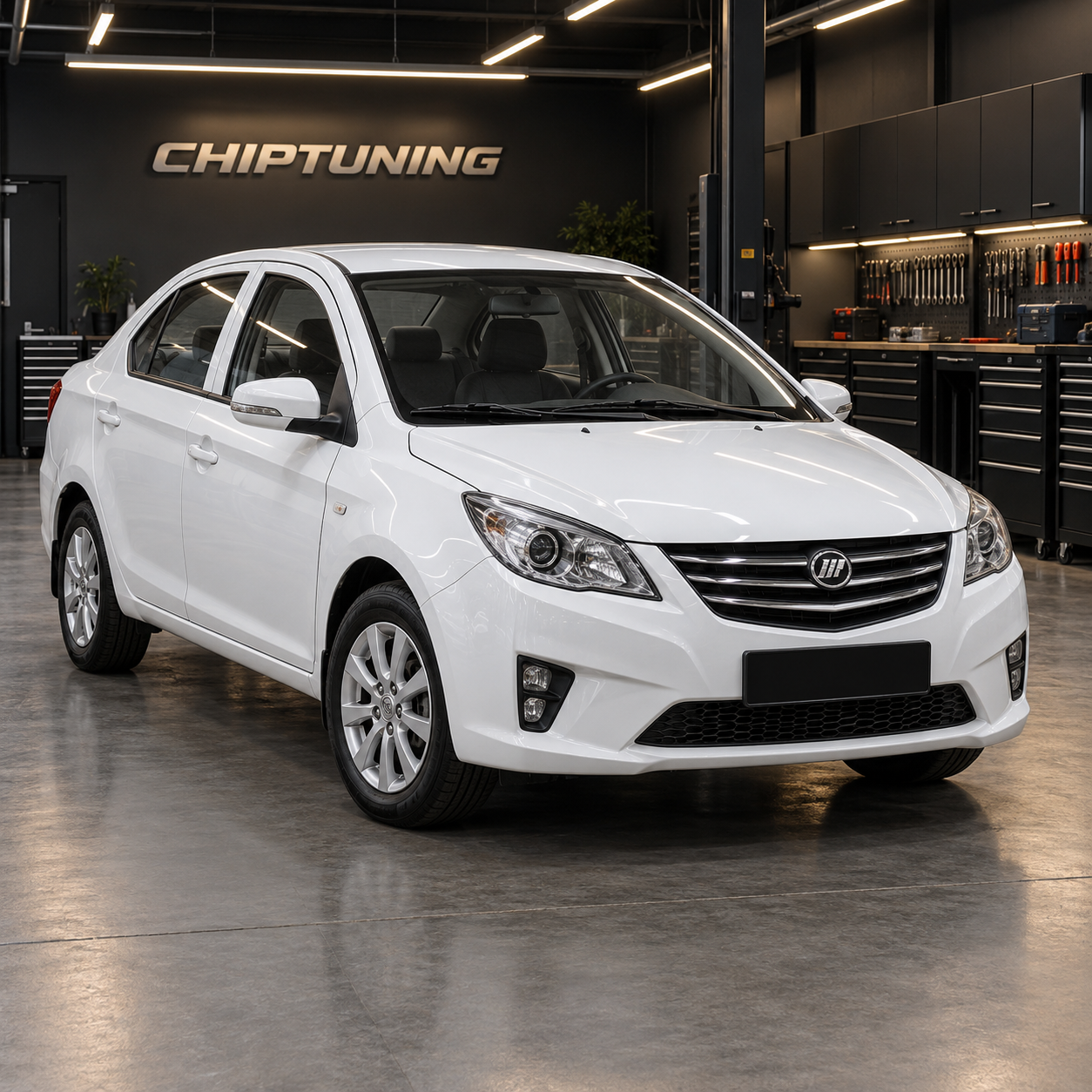 Lifan Celliya 1.5 Bosch ME7.8.8 F01R00DS50_F01R0ADG39_LF479Q