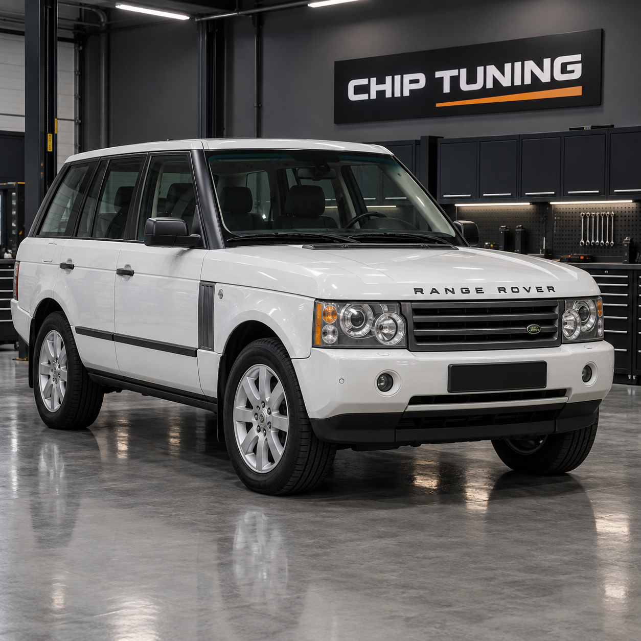 Land Rover Range Rover 3.0 Bosch DDE4.0 1037351777