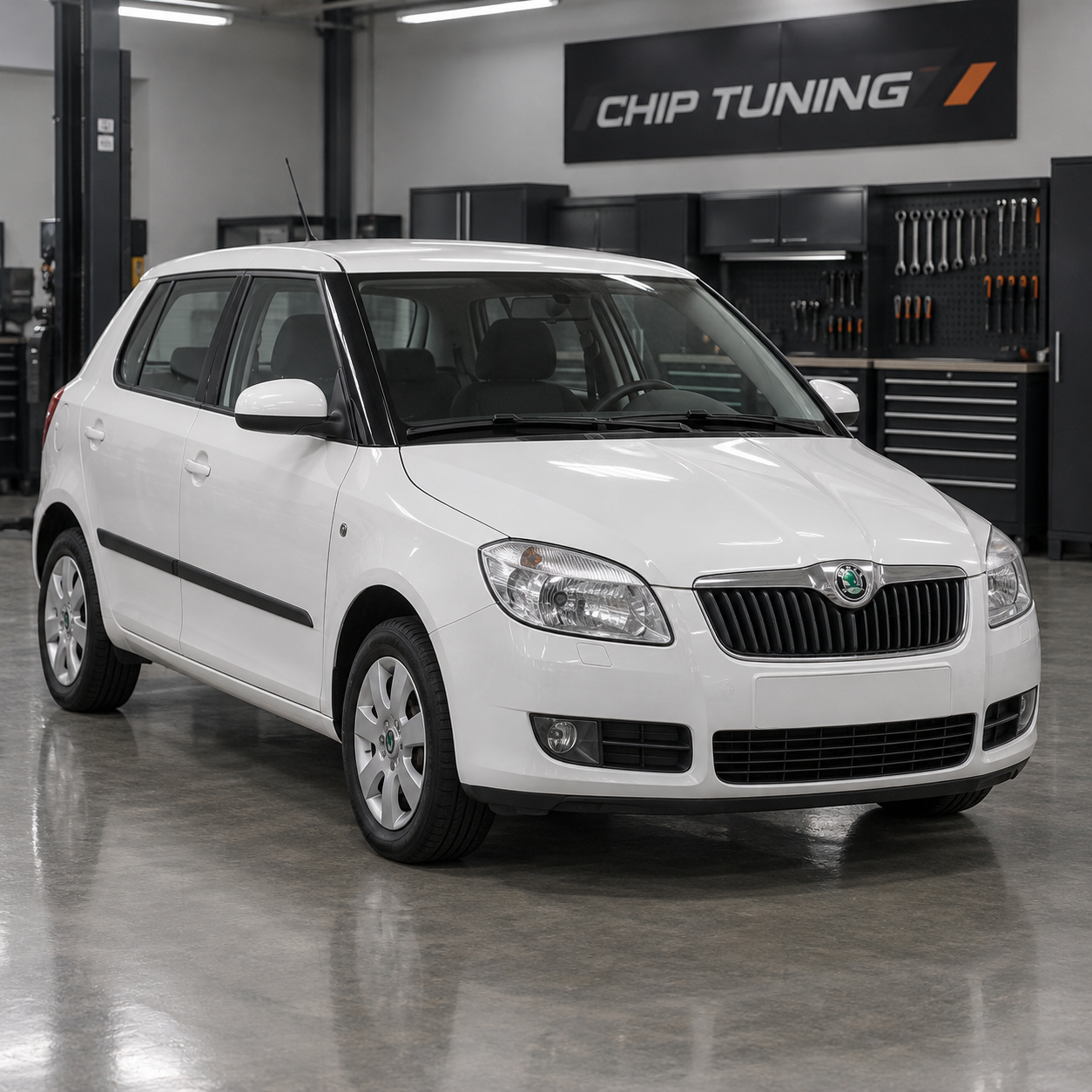 Skoda Fabia II 1.4 Magneti Marelli IAW4HV 03C906024B_2491