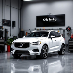 Volvo XC60 2.4 EDC17CP48 1037557351 Pcmflash ETC1 DPF EGR off