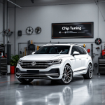 VW Touareg II 3.0TDI CASA EDC17CP44 1037517570 TUN EGR off