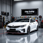 Kia Optima 2.0 SIM2K-245 JF95RCAS8L3L TUN E2 EVAP OFF