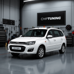 Lada Kalina 1.6 M74 I444CE06 Combiloader TUN E2.