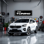 Kia Rio 1.4 ME17.0.21 MFB-0E504F000600 Pcmflash E2 EVAP off