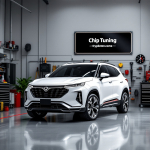 Chery Tiggo 2.0 me7.9.7 03605010 BE F01R0AD488 E2