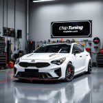 Kia Magentis 2.0 SIM2K-14x GAT0RE3C TUN E2