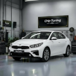 Kia Cerato 2.0 SIM2K-251 BDC5R2MS6F0B_616F0010_616F0051 Combiloader E2 EGR EVAP Flaps off.