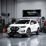 Nissan X-Trail 2.0 Hitachi 1EQ305 Pcmflash ETC1 E2.