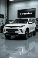 JAC 2.0 DCM6.2 1MJACAPP_E5_A711P11_FD050AB_4W Pcmflash TUN DPF EGR off.